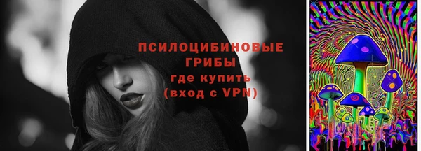 бошки Аркадак