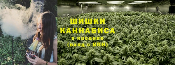 бошки Аркадак
