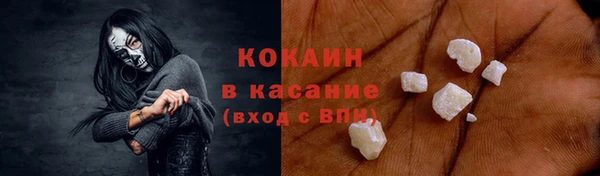 бошки Аркадак