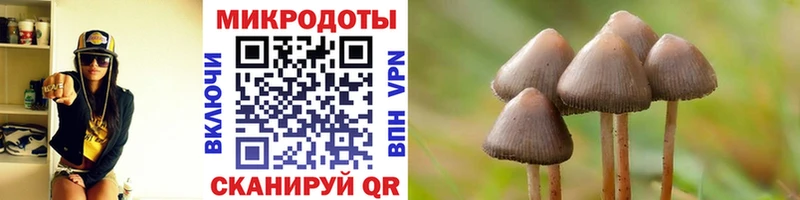 Псилоцибиновые грибы прущие грибы  Куса 